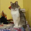 Отзыв от Диана Константинова